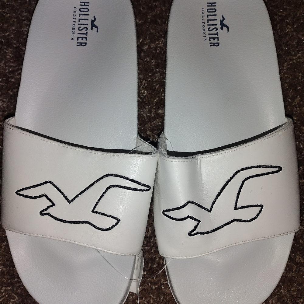 Hollister slides